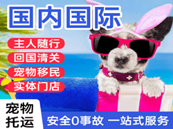 上海虹桥空运到北京国际宠物托运 【国